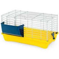 Fly - Roditori Coniglio GB 67 - 1 Conf. x 2p.