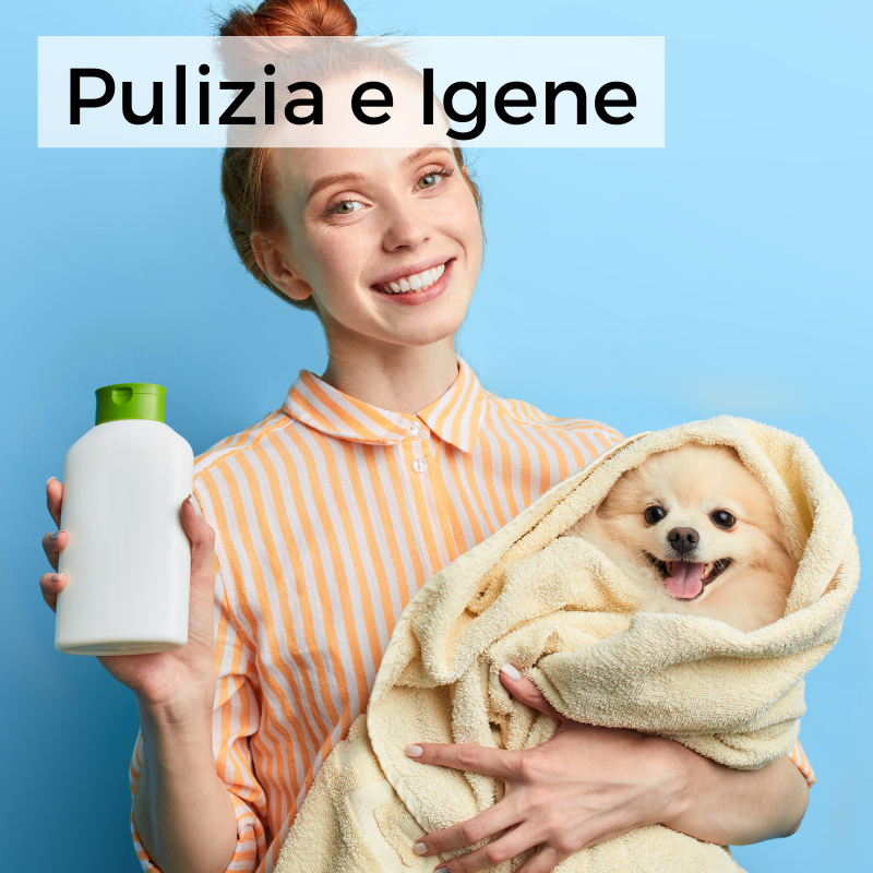 Pulizia e Igene