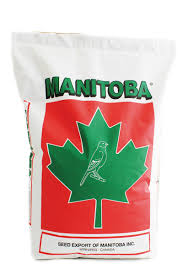 Manitoba - Canarino T3 Fresh sacco kg.20