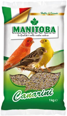 Manitoba - Canarini T1 Bis da kg.1